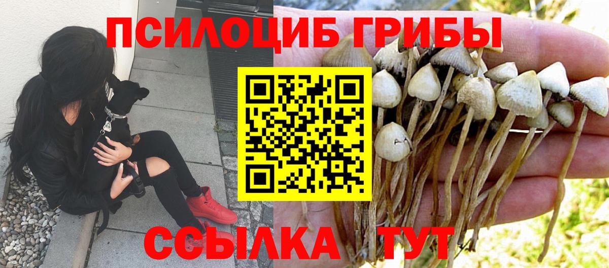 Галлюциногенные грибы Psilocybine cubensis  Галлюциногенные грибы ЛСД  Вход с VPN  Нефтекамск 
