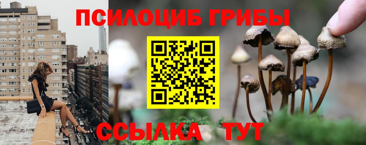Псилоцибиновые грибы мухоморы Нефтекамск